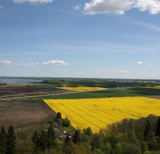 Här finns sjöar med unika och biologiskt värdefulla skogsmiljöer, varav en del är naturreservat.