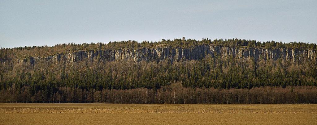 I museet finner du en utställning om bergens djurliv, geologi, kulturhistoria och kungajakt.