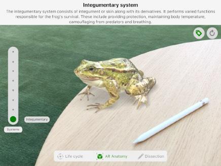 AR-upplevelsen förbereder eleverna på en dissektion men låter dem dissekera en hyperrealistisk virtuell groda istället för en riktig.