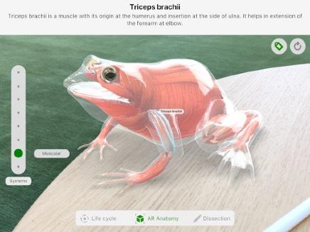 Utforska appen Froggipedia Testa det här: Undersök en grodas biologiska system.