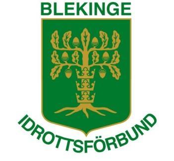 Sammanställning av deltagare och ledare Pojkar Flickor Ledare Summa Bordtennis 5 15 2 22 Friidrott 10 10 2 22 Fotboll 6 6 2 14 Fäktning 8 5 3 16 Handboll 16 38 6 60 Ishockey 73-6 79 Orientering 8 8 3