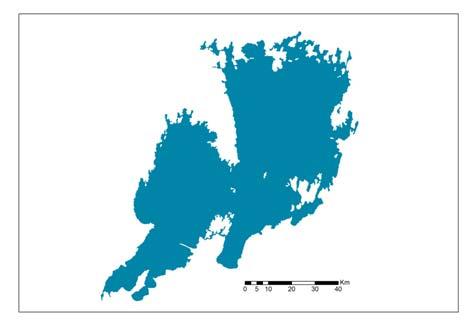 vattenvegetation Mkt småkryp