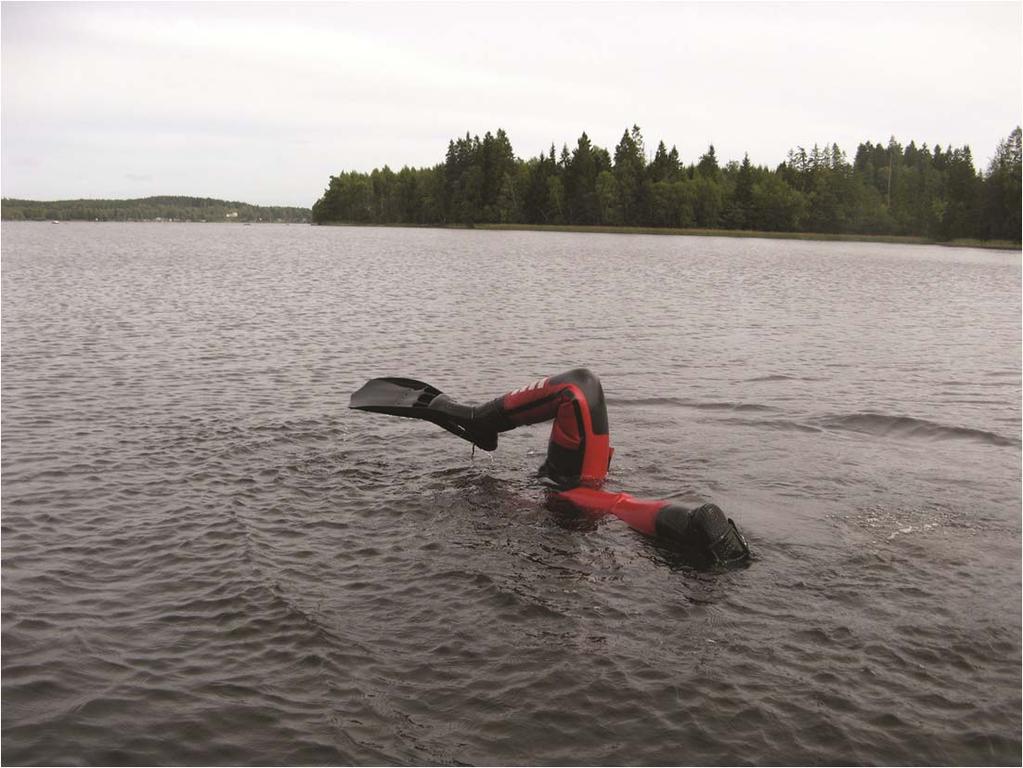 Inventering i Vänern många typer av sjöar i en och samma sjö Exponerade stränder med sand Klippor
