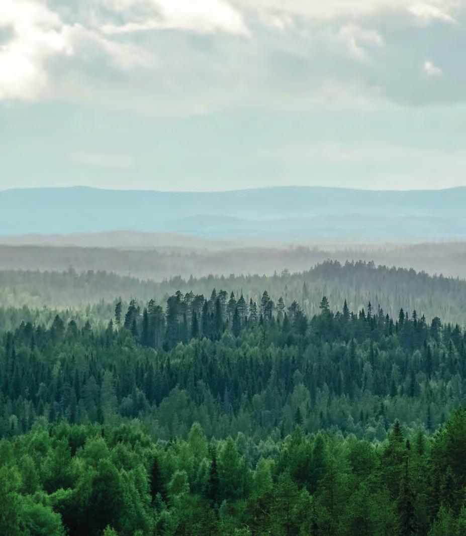 Börjar det bli dags att gallra eller avverka din skog? Då ska du samarbeta med Fiskarheden.