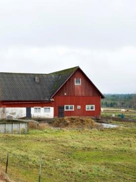 Förbättrat stöd från staten SKL anser att staten måste förbättra: 1. Anpassa skyddskraven lokalt 2.