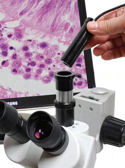 Dino-Eye okularkameror Med Dino-Lite okularkameror kan du förvandla ditt vanliga mikroskop till ett digitalt mikroskop med inspelningsfunktion.