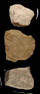 Marmor (Urkalksten) Sedimentär kalksten som