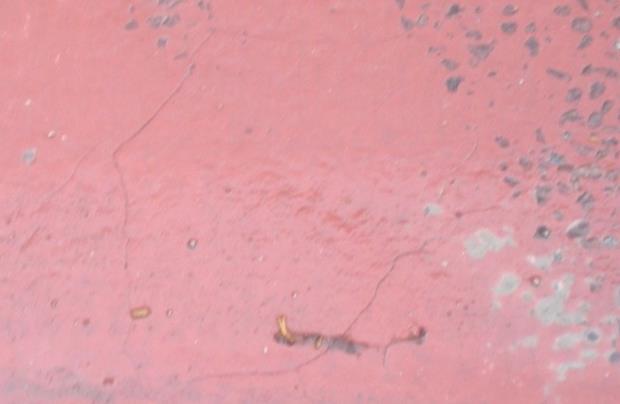 Potthål Det översta lagret i den cementstabiliserade asfalten har lossnat och