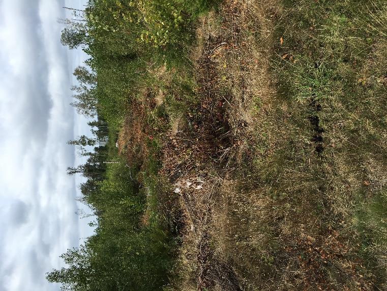 Gallernäset 1:19, Otterbäcken, Gullspångs kommun PM Geoteknik 160913 Jorden besår direkt under ytskiktet av friktionsjord som vilar på för utförda sonderingar fast botten troligen morän, sten, block