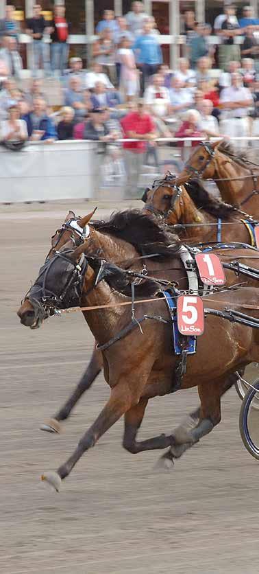 HalmstadTravet Lördag september Första start kl. banprogram Pris 0 kr (inkl.