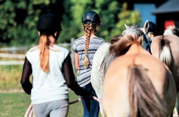 En bra hästmänniska: Har ett gott omdöme Ansvarar för hela hästens skötsel Är uppmärksam på att hästen alltid mår bra Är noggrann med de vardagliga rutinerna Utsläpp i hage Gå in med hästen i hagen.