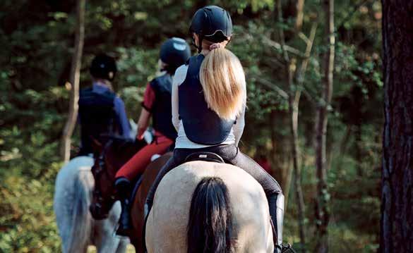 Rida ute När du rider ut ska hästen var ordentligt befäst i sin utbildning och lydig på hjälperna. Tala om vilken väg du rider innan du rider ut och hur länge du tänker vara borta.