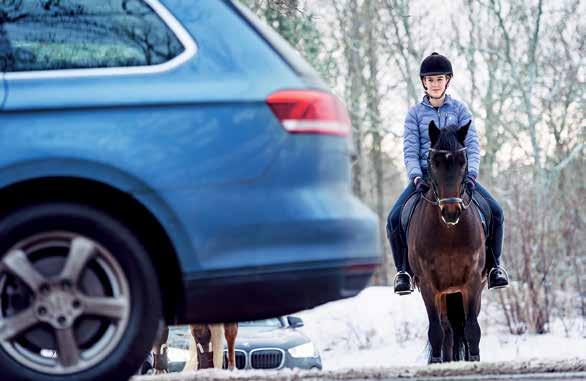 Ridning i trafik Antalet hästar i trafiken har under de senaste åren ökat avsevärt. En olycka där hästar och bilar är inblandade får ofta förödande konsekvenser.