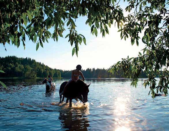 Sommarhäst och ridläger Sommarhäst kan bli en mardröm För många barn och ungdomar är möjligheten att hyra eller låna en häst över sommaren något de drömmer om.