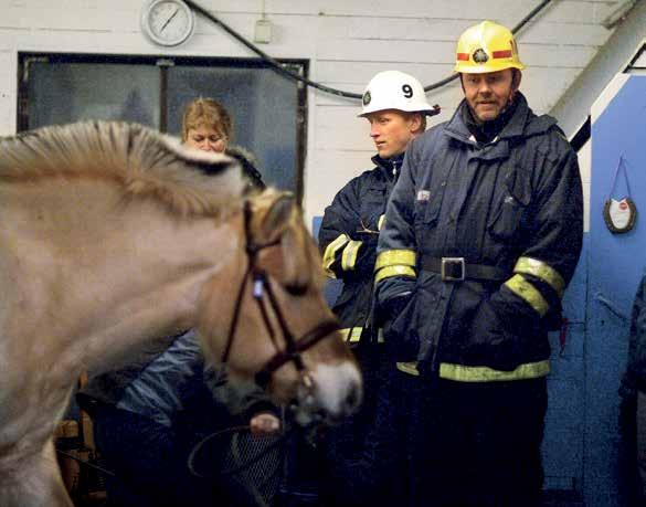 Brandskydd I lagen om skydd mot olyckor står det att alla företag ska bedriva systematiskt brandskyddsarbete. Risken för brand ska minimeras.