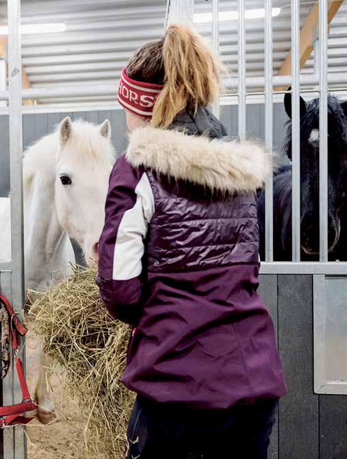 Rutiner Lästips ridsport.se/sakermedhast Här finns länkar till foder och foderstater. Vad gör hästen säker? Framförallt handlar det om rutiner och ett konsekvent hanterande av hästen.