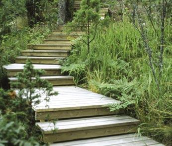Foto: Nordic Timber Council Foto 8. Soonitud pinnaga terrassilaud on vihmast märjana vähem libe, ehkki nii soontesse kui laudadevahelistesse 6...7 mm piludesse kipub prahti kogunema.