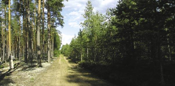 Kuniks elu? Vahel tundub, et inimkoosluse praegune elutegevus kulgebki pealkirjas toodud põhimõtte järgi: kuniks elu, eks pärast paista.