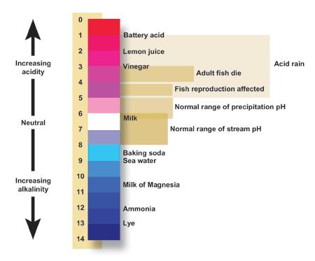 Översikt viktiga syror/baser TYPREAKTION ph skalan EXEMPEL Syror deprotoneras HA + H 2 O A - + H 3 O + Svavelsyra, Salpetersyra H 2 SO 4 HNO 3 Saltsyra HCl Perklor/bromsyra HClO 4 HBrO 4