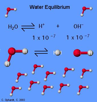 Vattenjämvikten i rent vatten vid 25⁰C [H