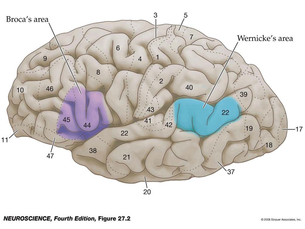 Figure 27.