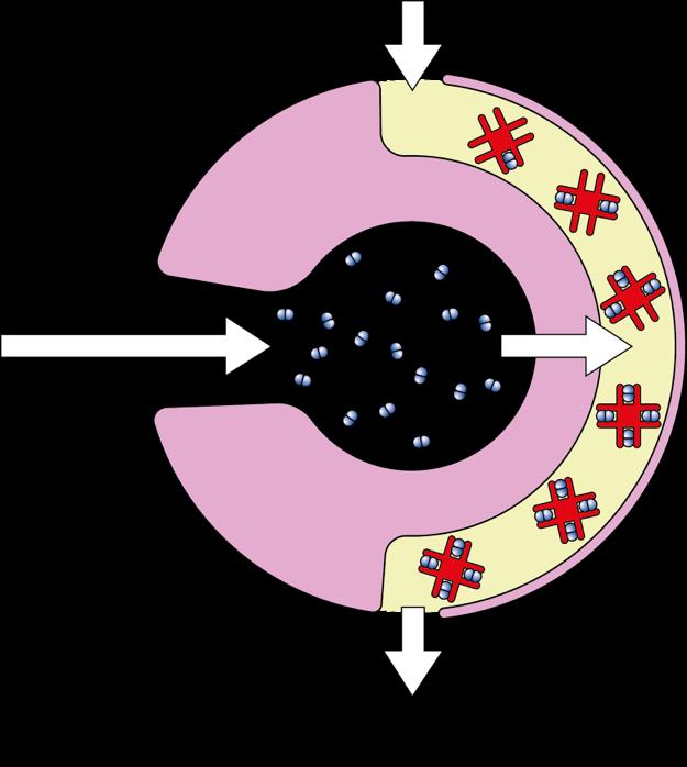 po 2 = 13,3 pco 2 =