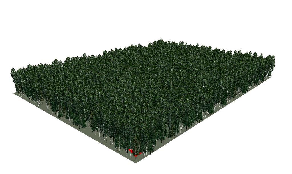 Skogsbränsleuttag vid förstagallring och dess påverkan på beståndsutveckling Simulering i Heureka med olika skötselprogram Forest fuel extraction