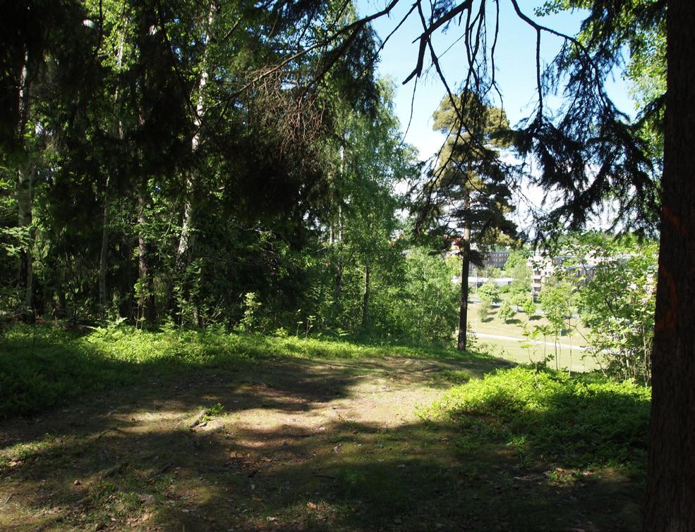 Hidingehöjden 20. Gullingeparken Öppen park, ofta i dalstråk med skogsklädda sidor.