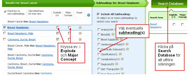 Major Concept begränsar sökningen till artiklar som har ämnesordet som sitt huvudsakliga innehåll. Man kan begränsa sin sökning med Subheadings (aspektord).