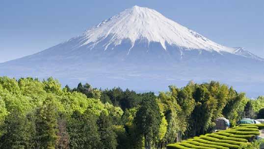 8 nov Shimizu (Mt Fuji), Japan Idag går vi i land i Shimizu som är en liten hamn söder om Yokohama.