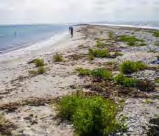 Vi, dvs. Vindö 40:an Gloria Mundis besättning tyckte dock att vi var ute i god tid, när vi redan fredag eftermiddag lämnade hemmahamnen Björlanda Kile och tuffade söderut.