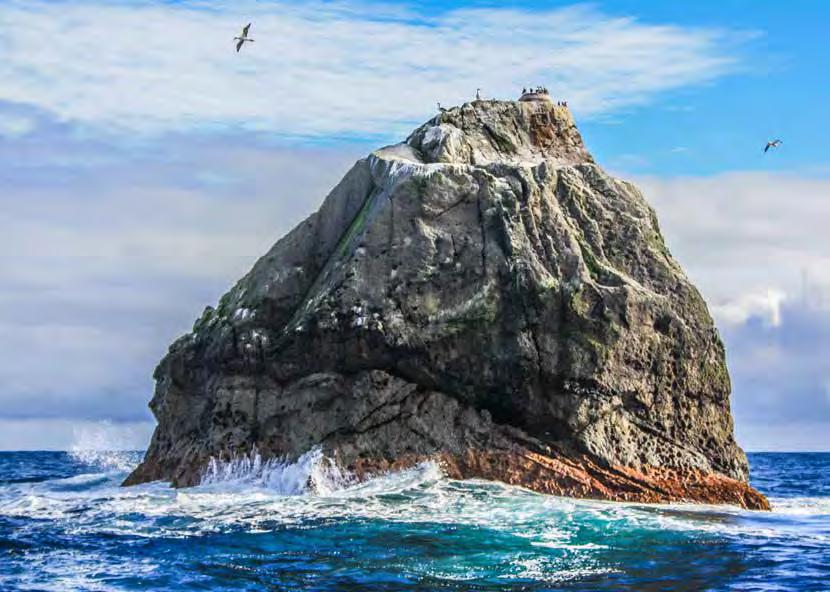 S/Y Muckle Flugga seglar till Rockall-Europas ensligaste ö TEXT OCH BILD ANNA ZACKARIASSON OCH GUSTAV BRAX Rockall är en obebodd klippö i norra Atlanten, belägen 350 km väster om Yttre Hebriderna.