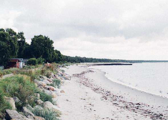 är ett globalt fenomen. Vi har aldrig varit så långt ifrån naturen som nu och kanske paradoxalt aldrig längtat så mycket efter den som nu. Den är rejält hotad.