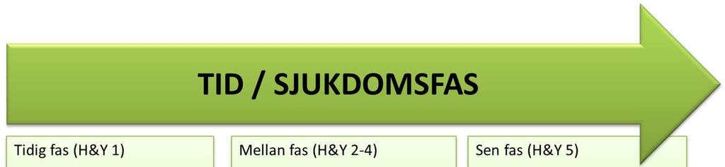 Sida 15/41 Figur 2. Översikt av fysioterapeutens mål relaterade till tid och sjukdomsgrad Hoehn & Yahr (H&Y).