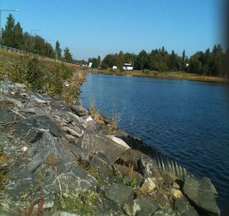 Patholmsviken, Lokal 1 Strandzonen på lokalen dominerades av grova block och sprängsten. Snäckorna insamlades främst från stenar och block i strandzonen.