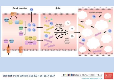 FODMAPs