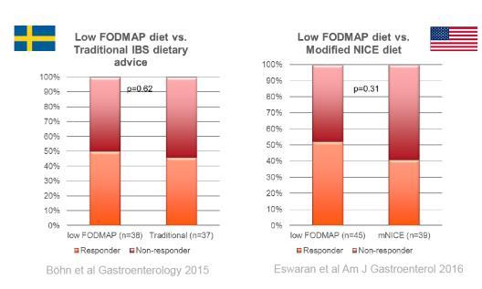 DIET THERAPY FOR IBS: IS A DIET LOW IN FODMAPS REALLY SIMILAR