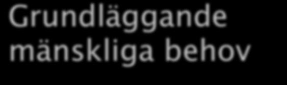 Grundläggande mänskliga behov enligt Manfred