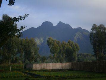 MÅNDAG 12 MARS: MBARARA TILL BWINDISKOGEN Från Mbarara fortsätter vi efter frukost till Kabale i sydvästra Uganda och därifrån vidare mot Bwindi Impenetrable Forest National Park.