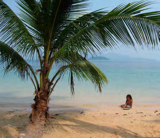 På norra delen av Ko Wai hittar du några bungalowbyar, en knapp handfull restauranger. Det är också hit båtarna från Koh Chang anländer. na i öster är betydligt lugnare. Koh Wai Pakarang.