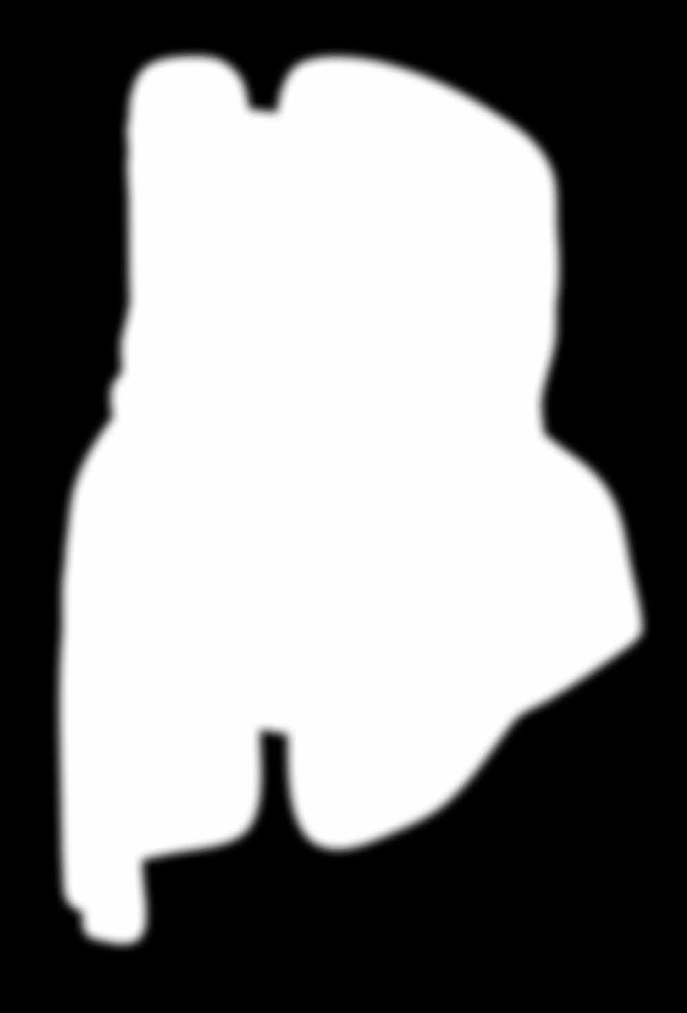 BostonBrace RIGIDA