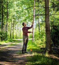 koncernens industri med skogsråvara, erbjuder skoglig service