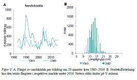 SLU - Provfiske med bottentrål 2016 Filmning av utsläppstub och omgivande bottnar Sandskädda utgjorde som vanligt den största andelen av fångsten och stod för 52 procent av det totala antalet fiskar