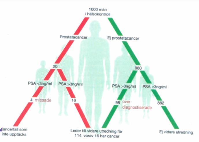 Populationsstudie prostatacancer Testresultat positivt Positiv (sjukdom Förekommer) Negativ (sjukdom förekommer inte) 16 98 114 Summa Testresultat negativt 4 882 886 Summa 20 980 1000 Det positiva