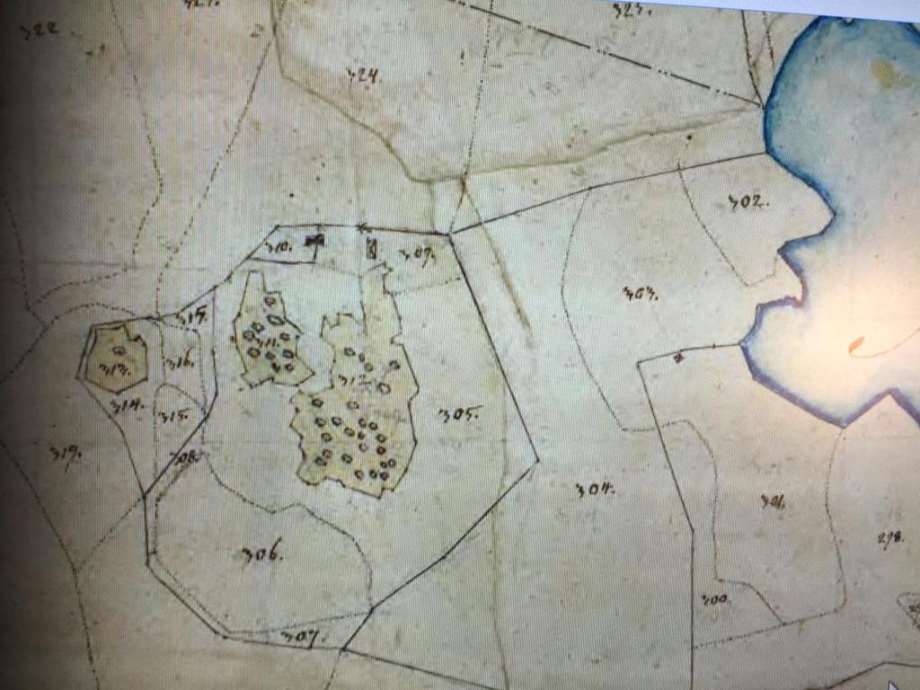 Stenvik, utdrag karta från 1938 som refereras till ovan. De små husen ligger strax ovanför odlingarna.