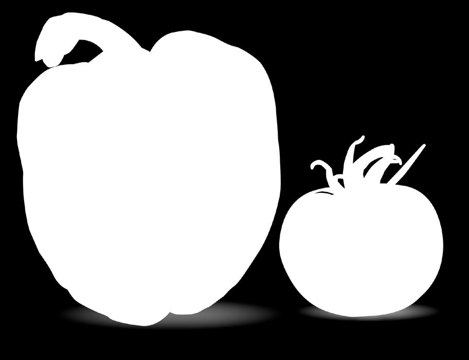 Dessa likheter ser jag: Exempel: Båda är röda. b) Skillnader Det är skillnad mellan frön i en tomat och i en paprika.