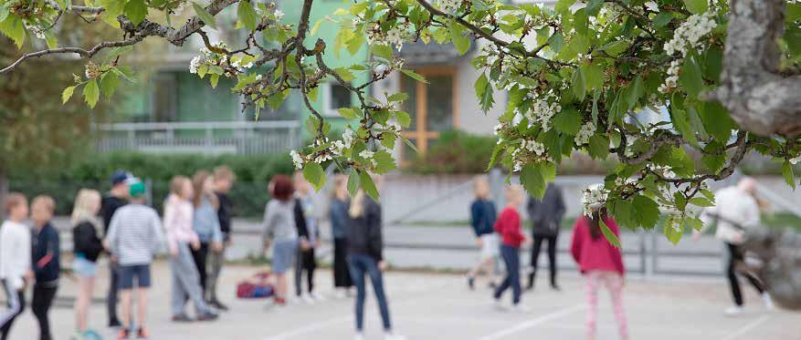 HÅLLBARHETSREDOVISNING Vi lyser upp vår arbetsmiljö Piggare elever och medarbetare, lägre miljöbelastning och sänkta kostnader. Fördelarna med dagsljusliknande LED-belysning i skolor är uppenbara.