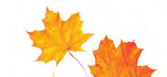 00 (Hörsalen) Gratisbiljetter bokas på biblioteket från 22/10 TISDAG 30 OKTOBER Halloweensminkning