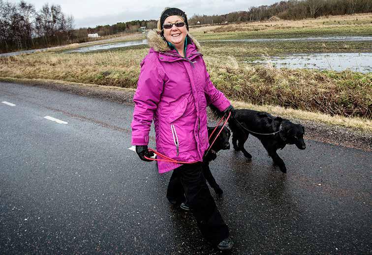 PORTRÄTTET Barbro Harnby promenerar varje dag med hundarna Sissi och Zeta. De har bidragit till att hennes kondition har förbättrats. Ibland cyklar hon med dem till havet.