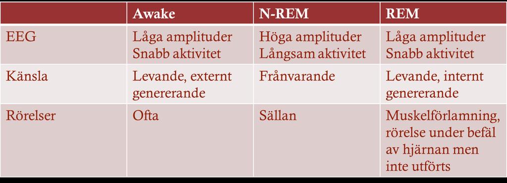 Sömnens delar REM-sömn